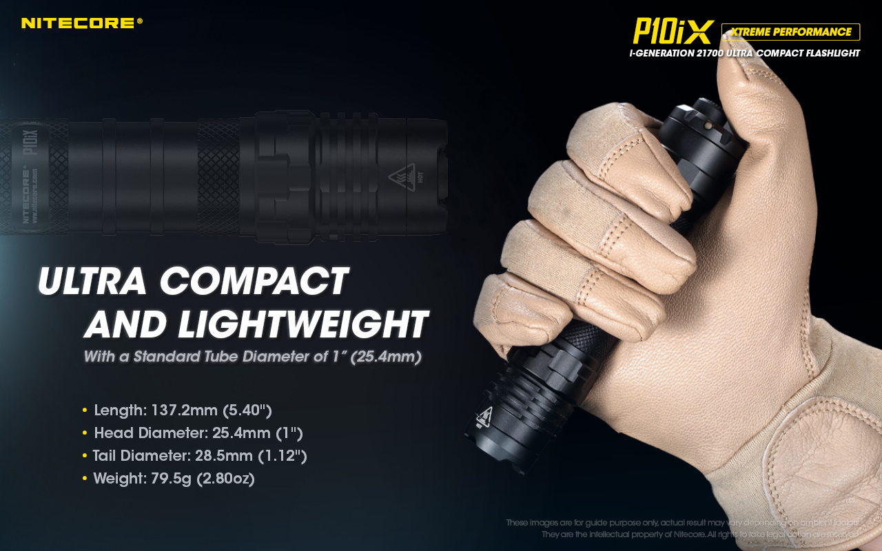 P10iX — caracteristici
