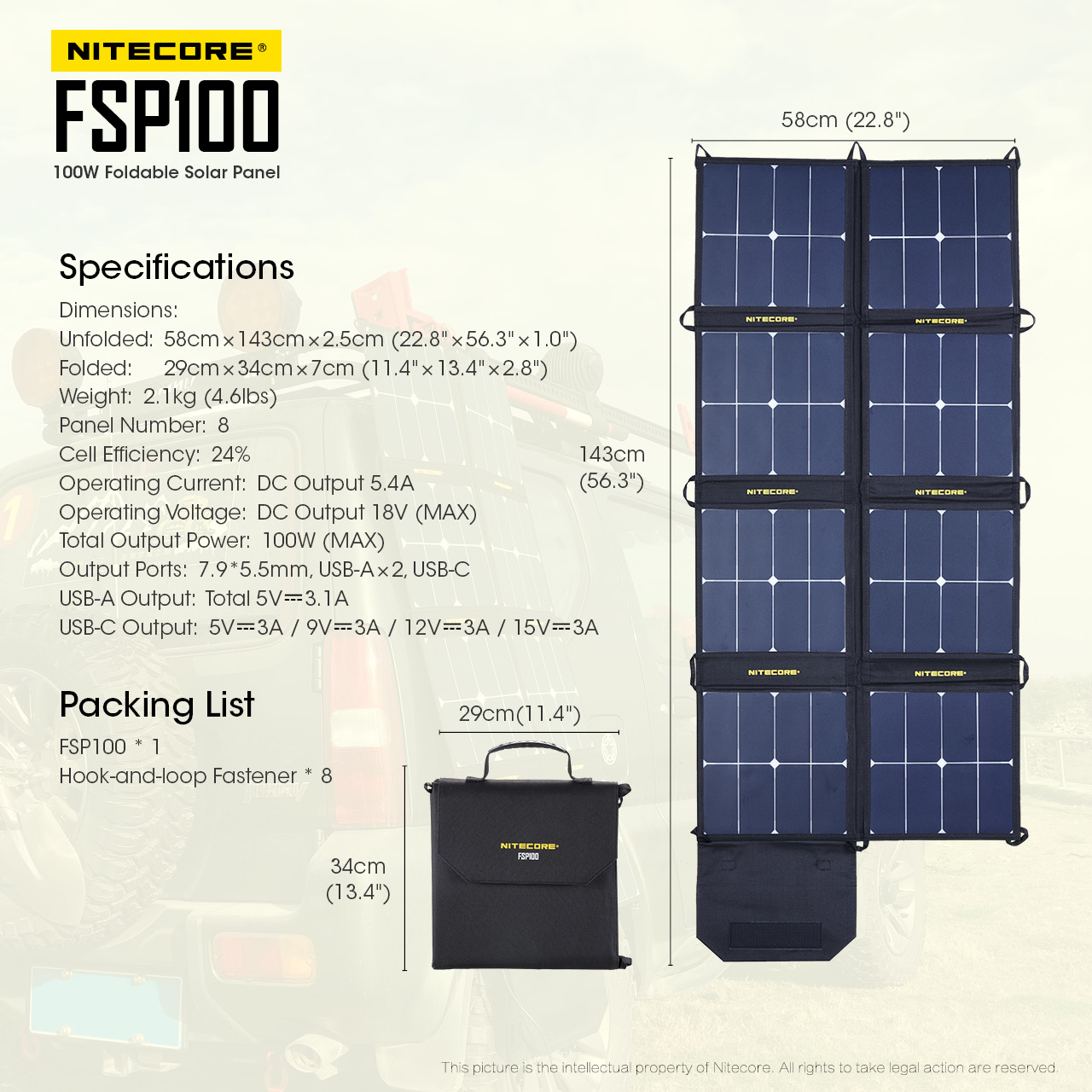 FSP100 — caracteristici