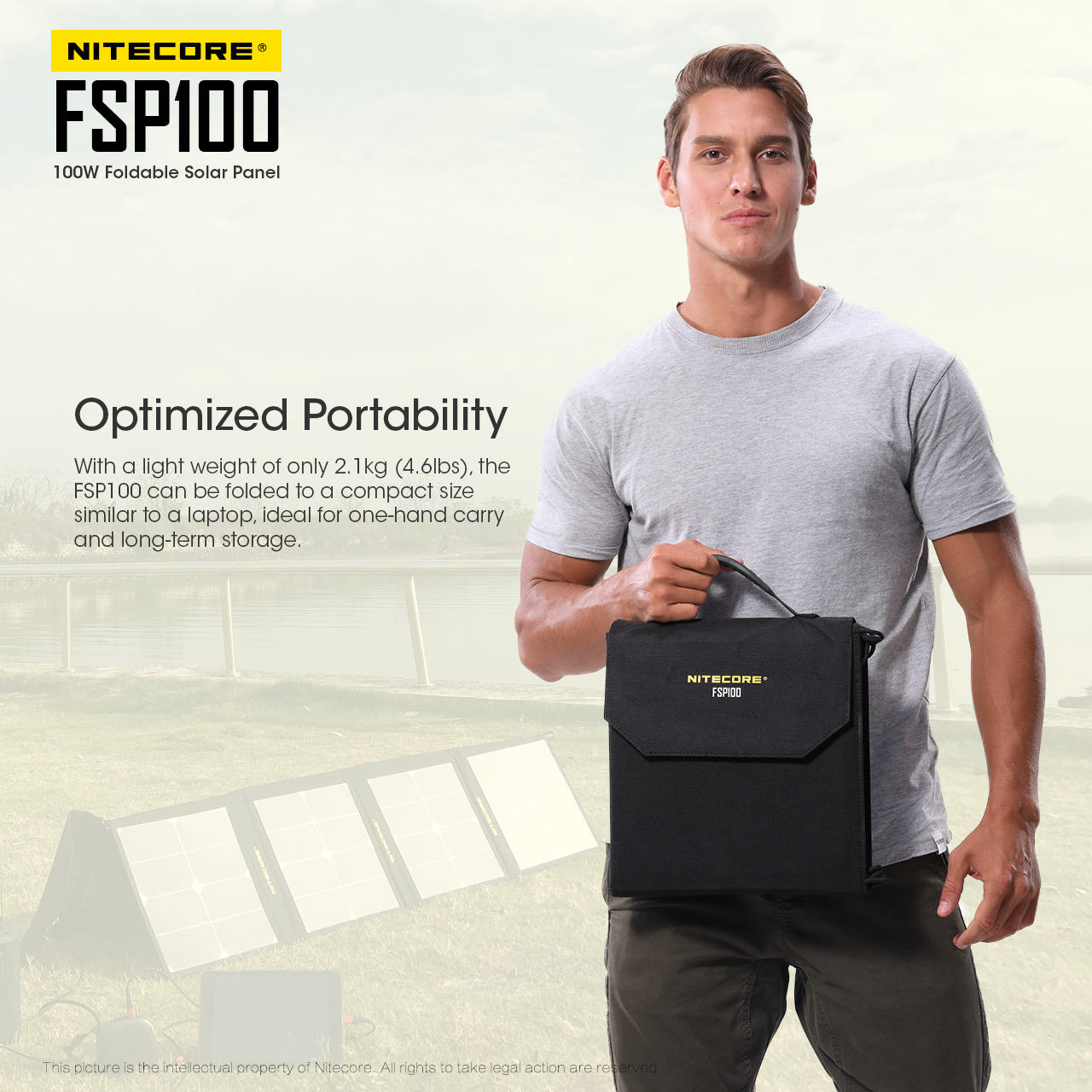FSP100 — caracteristici