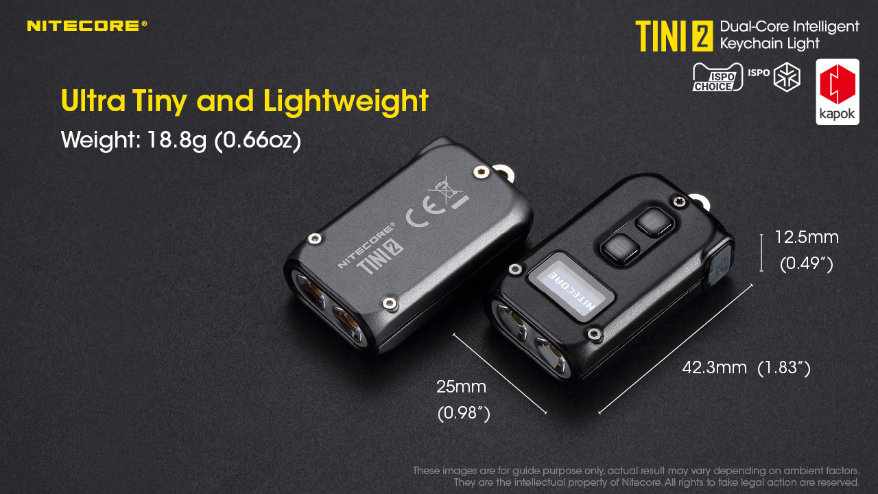 TINI2 — caracteristici