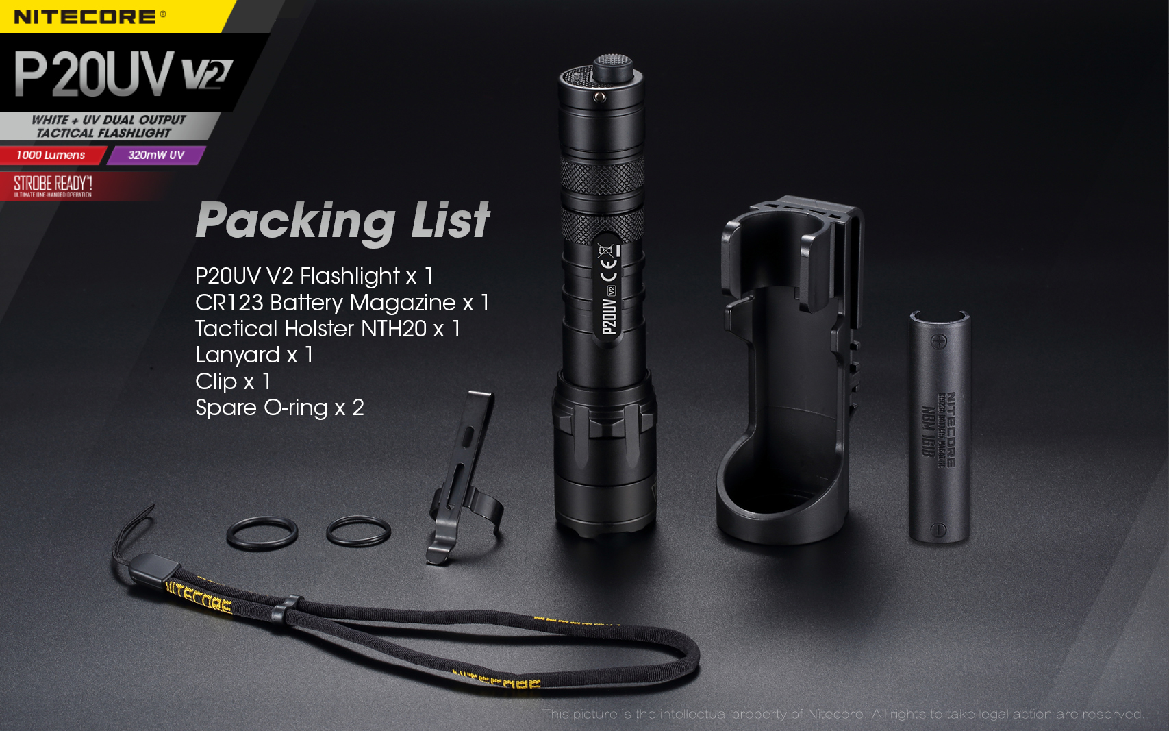 P20UV V2 — caracteristici