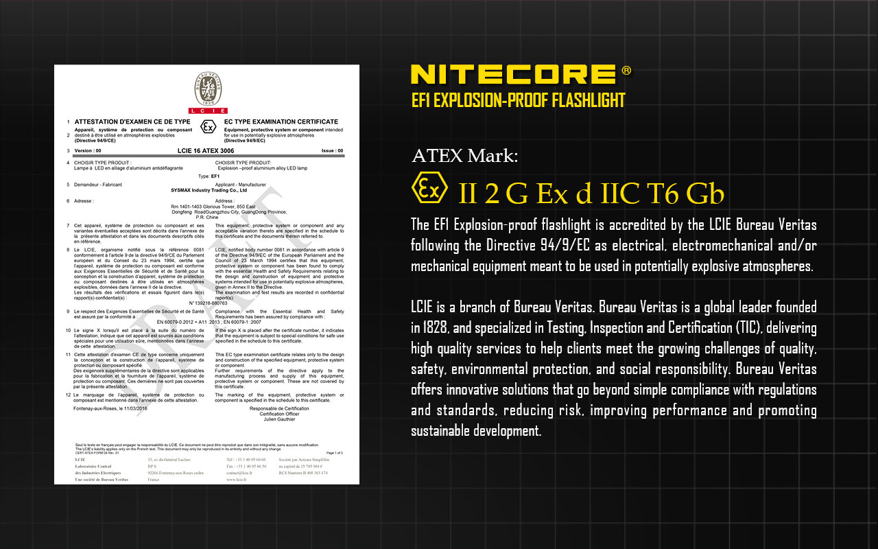 EF1 — caracteristici