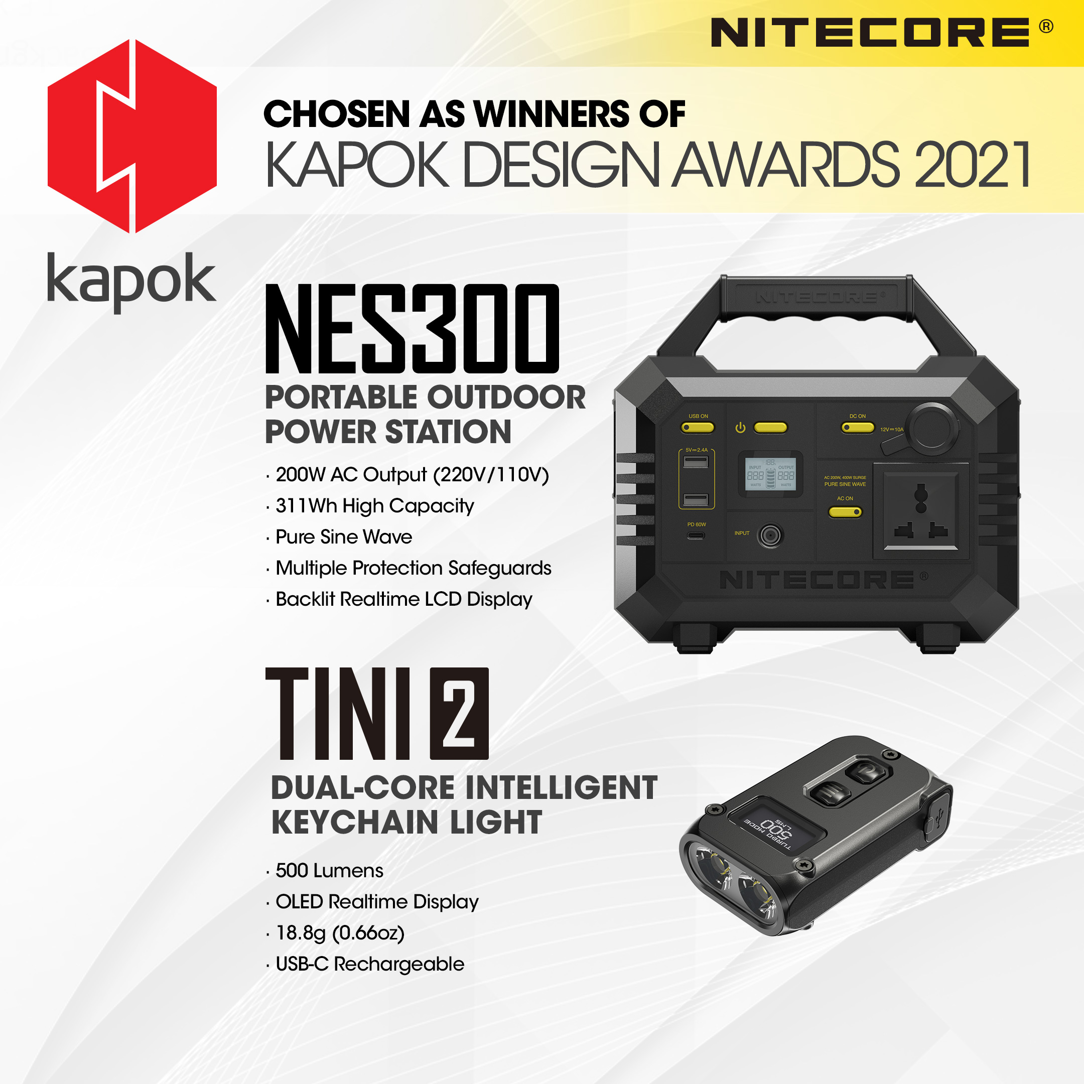 NES300 — caracteristici