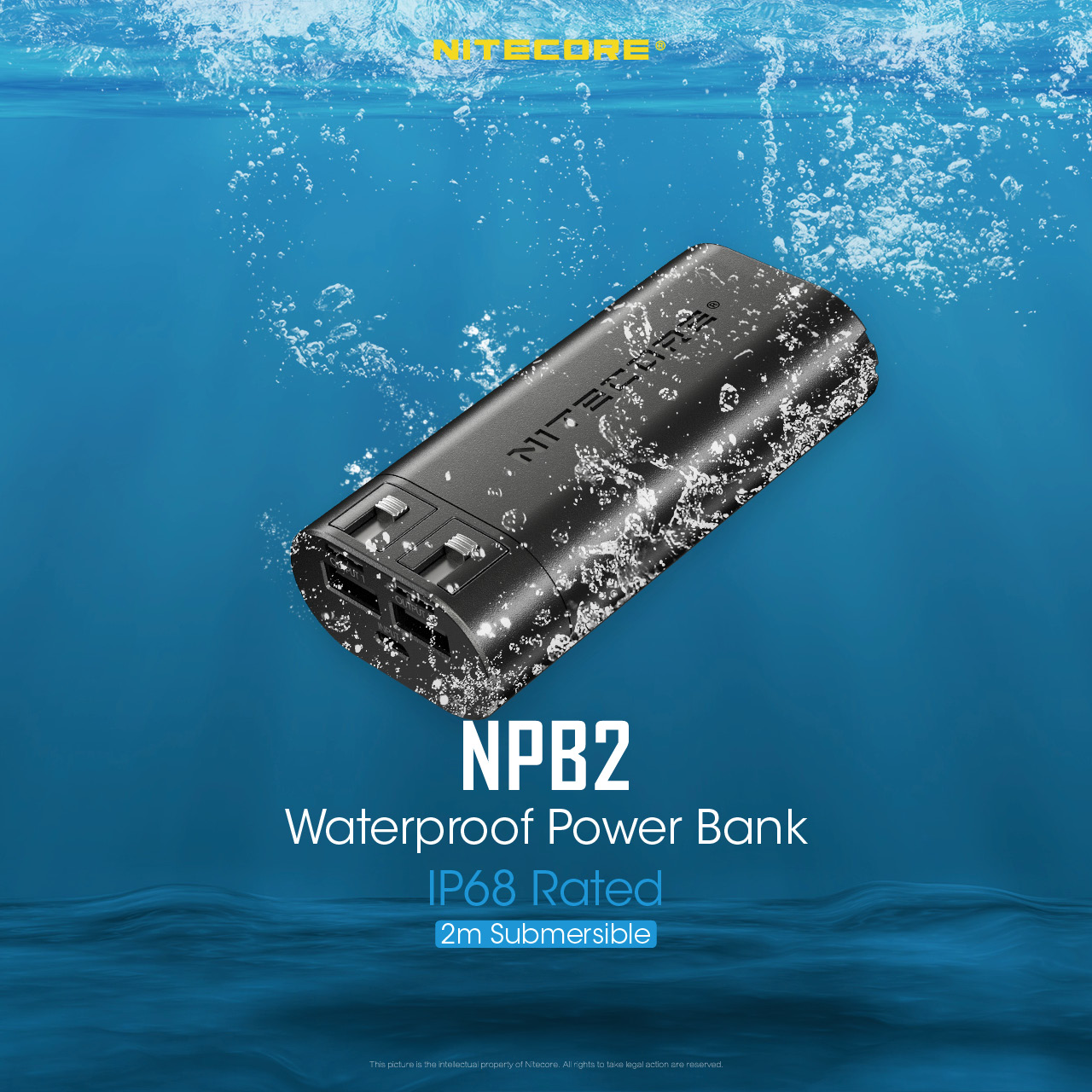 NPB2 — caracteristici