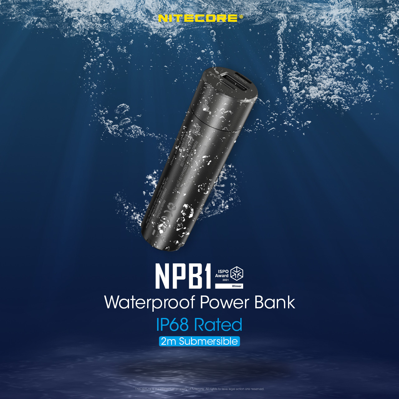 NPB1 — caracteristici