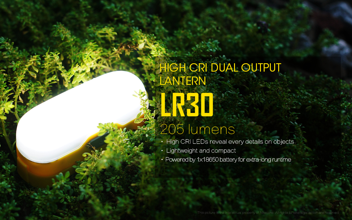 LR30 — caracteristici