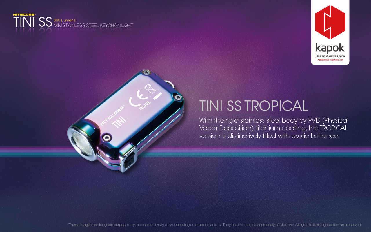 TINI SS — caracteristici